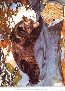 Boz Ayı (Ursus arctos), balın peşinden tırmanıyor, John Arthur Thompson
