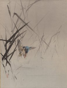 Sazlıklar Arasında Balık Yakalayan Kuş, ca. 1887. by Watanabe Seitei