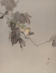 Daldaki Kuşlar, ca. 1887. by Watanabe Seitei