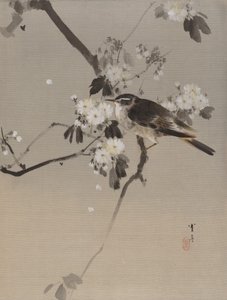 Çiçekli Daldaki Kuşlar, yak. 1887. by Watanabe Seitei