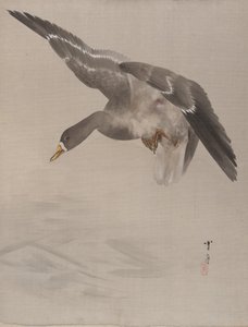 Ördek, ca. 1887. by Watanabe Seitei