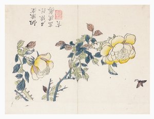 Hardal Tohumu Bahçesi by Wen shu Chao