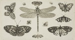  by Wenceslaus Hollar