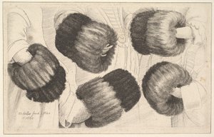 Beş Görünümde Bir Muff, 1645-46. by Wenceslaus Hollar