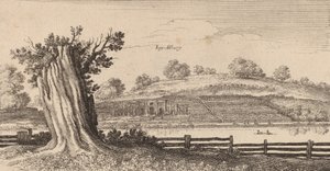 Albury, 1645. by Wenceslaus Hollar