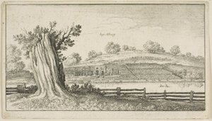 Ön planda ağaç kütüğü olan Albury by Wenceslaus Hollar