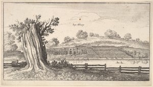 Ön planda ağaç kütüğü olan Albury, 1625-77. by Wenceslaus Hollar