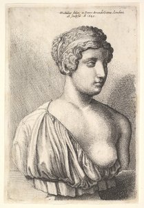 Antika bir kadın büstü, 1645. by Wenceslaus Hollar