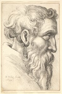 Sağdaki profilde sakallı yaşlı adam, 1645. by Wenceslaus Hollar