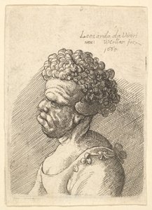 Soldaki profilde kıvırcık saçlı, deforme olmuş bir kadının büstü, 1665. by Wenceslaus Hollar