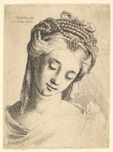 Ayrıntılı başlıklı genç bir kadının büstü, aşağı bakıyor., 1625-77. by Wenceslaus Hollar