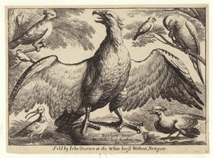 Kartal ve diğer kuşlar by Wenceslaus Hollar