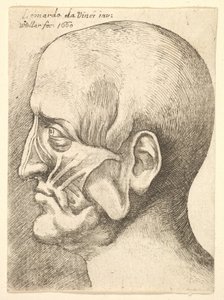Soldan profilde bir adamın Ecorche başı, 1660. by Wenceslaus Hollar