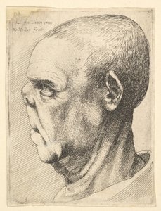 Profilde basık burunlu, grotesk yaşlı adam, 1625-77.