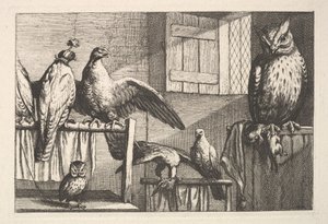 Şahinler ve baykuşlar, 1625-77. by Wenceslaus Hollar
