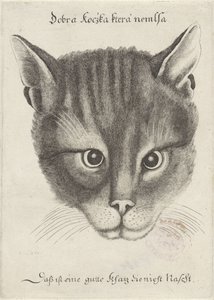 Bir Kedi Başkanı by Wenceslaus Hollar