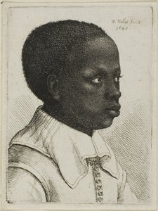 Sağdaki Profilde Genç Siyah Bir Çocuğun Başı by Wenceslaus Hollar