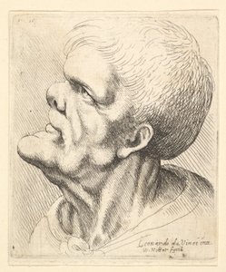 Çıkıntılı çeneli ve kalkık burunlu bir adamın başı, profilden sola doğru yukarı bakıyor, 1625-77. by Wenceslaus Hollar
