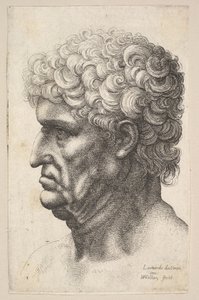 Soldaki profilde kalın kıvırcık saçlı bir adamın başı, 1640-49. by Wenceslaus Hollar