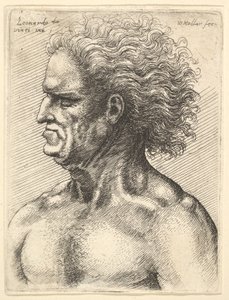 Profildeki kaslı yaşlı bir adamın başı, soldan dalgalı saçlarla, 1625-77. by Wenceslaus Hollar