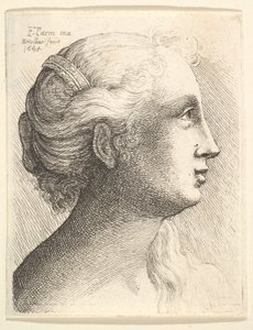 Sağdaki profilde genç bir kadının başı, 1645. by Wenceslaus Hollar