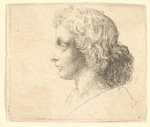 Soldaki profilde uzun saçlı genç adamın başı, 1644-52. by Wenceslaus Hollar