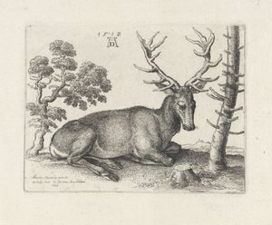 Sağa yaslanmış geyik by Wenceslaus Hollar