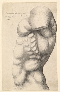 Soldan profilde boyundan kalçaya erkek gövdesi, 1645. by Wenceslaus Hollar