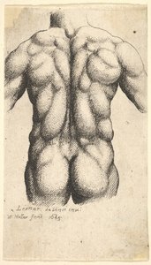Arkadan çıplak erkek gövdesi, 1645. by Wenceslaus Hollar