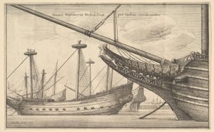Hollandalı Batı Hindistanlı, 1647 by Wenceslaus Hollar