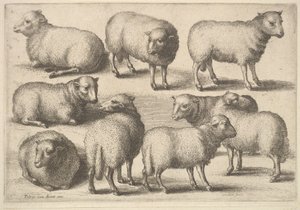Dokuz koyun, 1646. by Wenceslaus Hollar