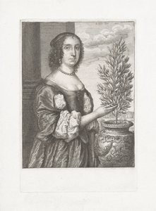 Bir defne bitkisinin yanında duran bir kadının portresi by Wenceslaus Hollar