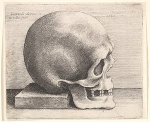 Sağdaki profilde kafatası, 1645. by Wenceslaus Hollar
