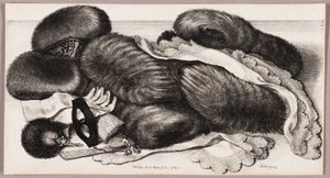 Bir Grup Manşon, Bir Çift Eldiven ve İki Fular ile Natürmort by Wenceslaus Hollar