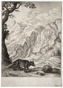 Tilki ve kirpi. durum 2 by Wenceslaus Hollar