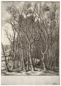 Tilki ve dikenli çalı. durum 2 by Wenceslaus Hollar
