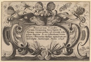 Baş sayfa by Wenceslaus Hollar