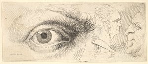 İki göz ve iki kafa, 1644-52. by Wenceslaus Hollar
