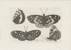Vier vlinders Böcek (dizi adı) Scarab uçar (dizi başlığı) by Wenceslaus Hollar