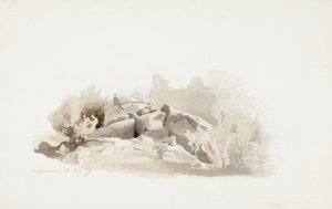 Çalılarla çevrili kırılgan bir kayalık by Werner Holmberg