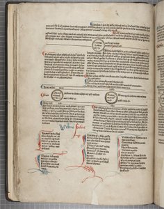 Fol 30 karşı