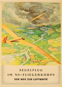 Nasyonal Sosyalist Flyers Corps - Luftwaffe