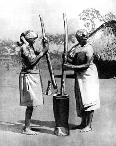 Mısır ve darı döven iki Mashona kabilesinden kadın, Zimbabve, Afrika, 1936.