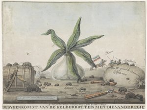 Fransız Gümrükleri Üzerine Karikatür, 1813-1814 Direktörünkilerle Rotten Bodrum Toplantısı (nesne üzerindeki başlık) by Wijnand Esser