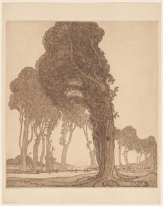 Lombok