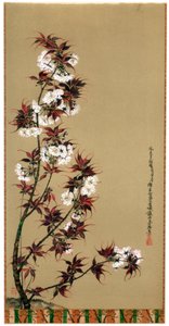 Mikawa