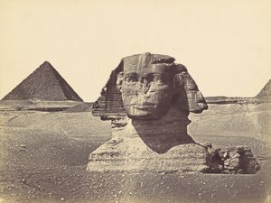 Sphynx