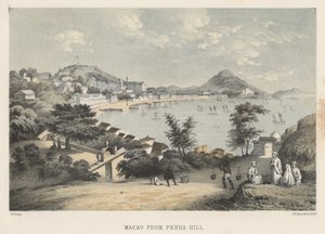 Penha Tepesi