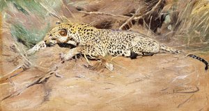 bir leopar, by Wilhelm Kuhnert