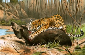 Jaguar tapir öldürüyor by Wilhelm Kuhnert
